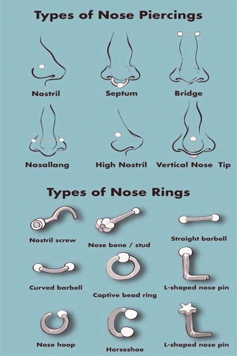 types of nose piercings chart.